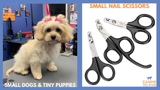 nail clippers for dogs with black nails