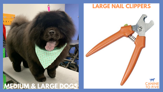 Medium and large dogs - large nail clippers