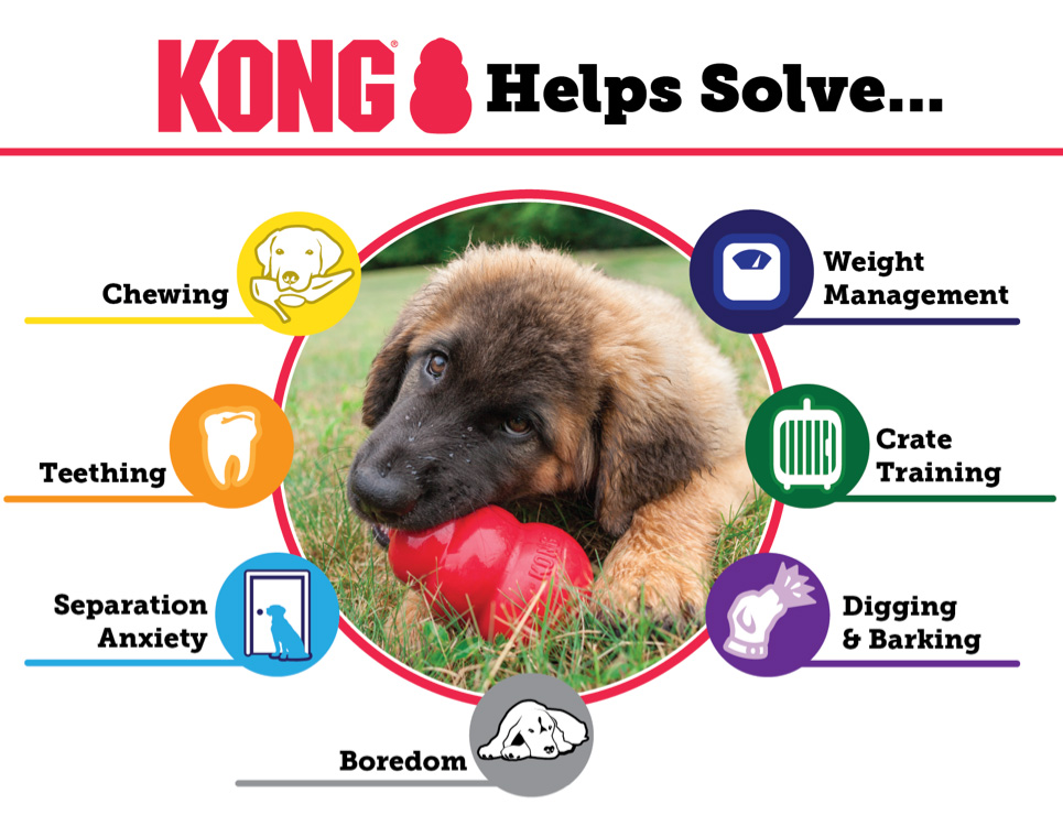 Solutions and Toys for Dogs with Anxiety