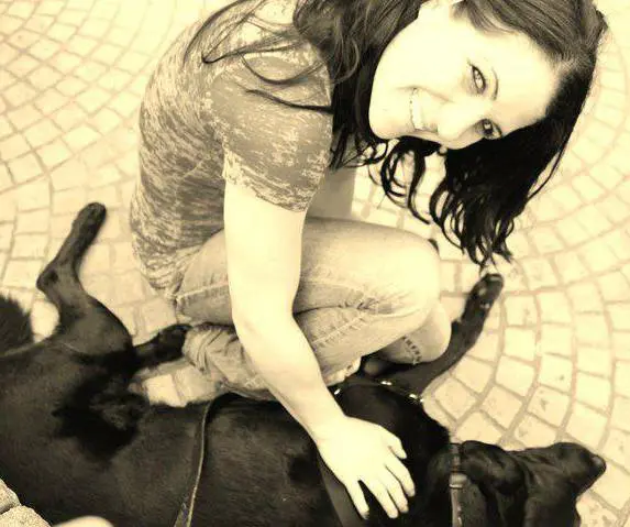 casey 3