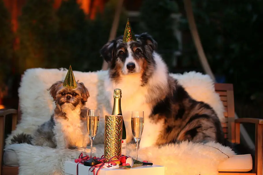new year s day new year s eve new years eve 2015 new year