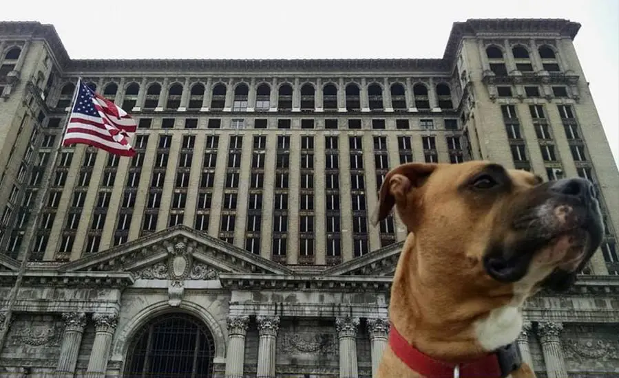 image detroit