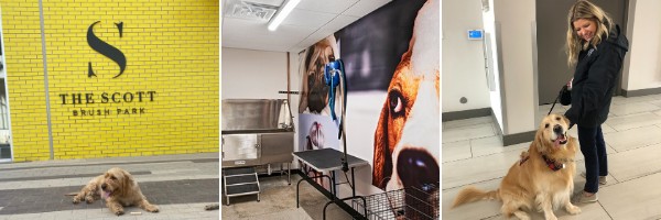 Canine to Five Pet Friendly
