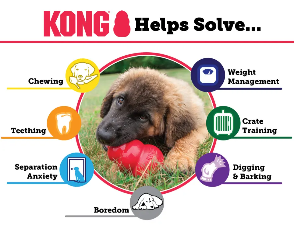 solutions1