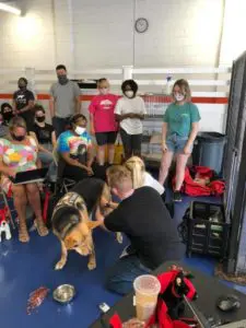 201624003 10159433369139521 6814656684048589786 n