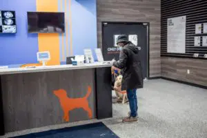 Commerce Township Canine to Five Open House 2021