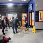 Commerce Township Canine to Five Open House 2021