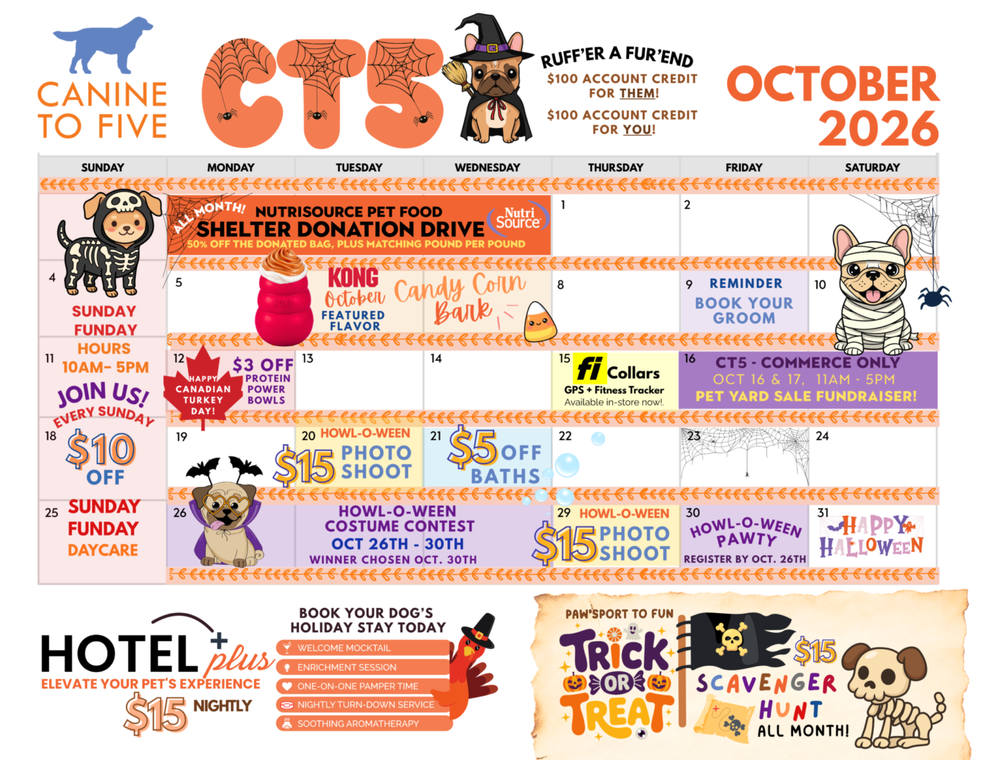 Copy of Copy of Header Flyers 39 scaled