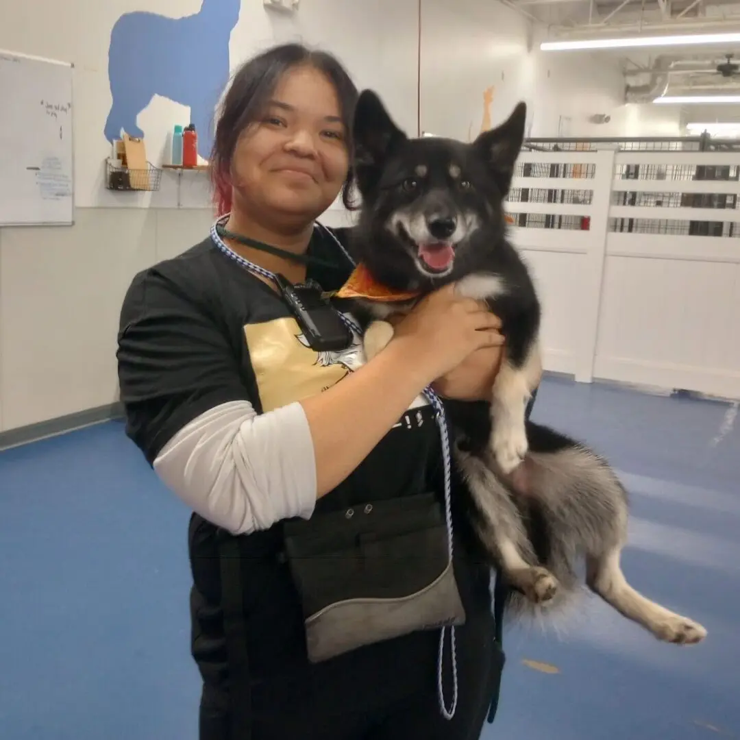 dog daycare detroit
