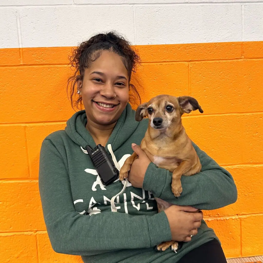 dog daycare detroit