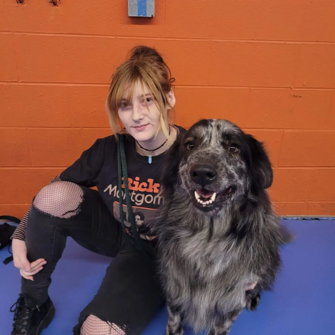 dog daycare detroit