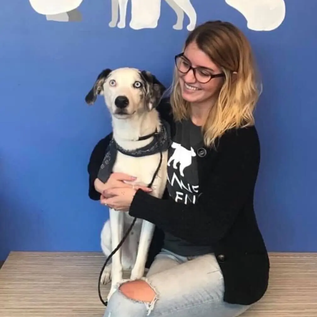 dog daycare detroit