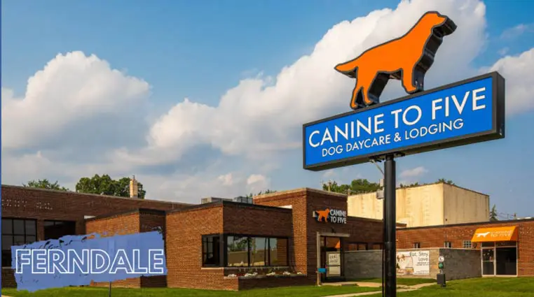 The front of our Canine to Five Ferndale building