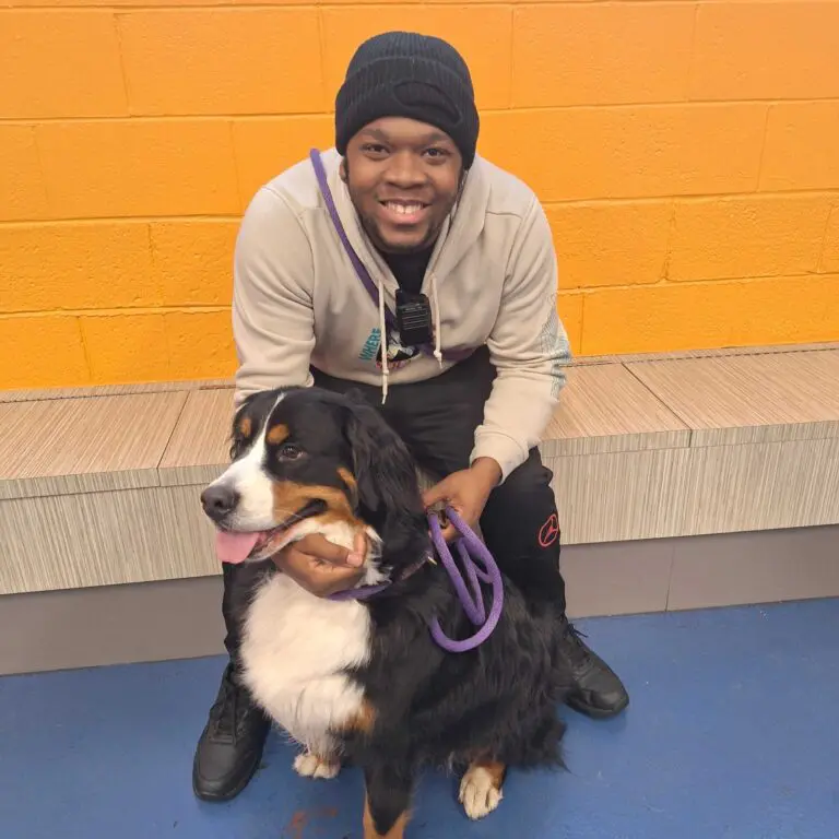 dog daycare detroit