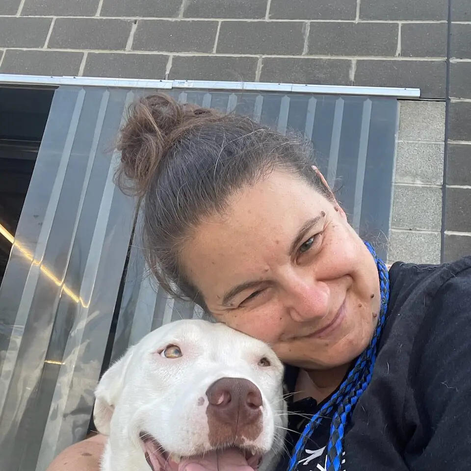 dog daycare detroit