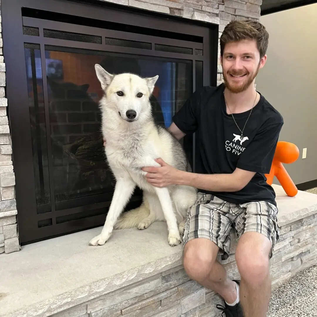 dog daycare commerce