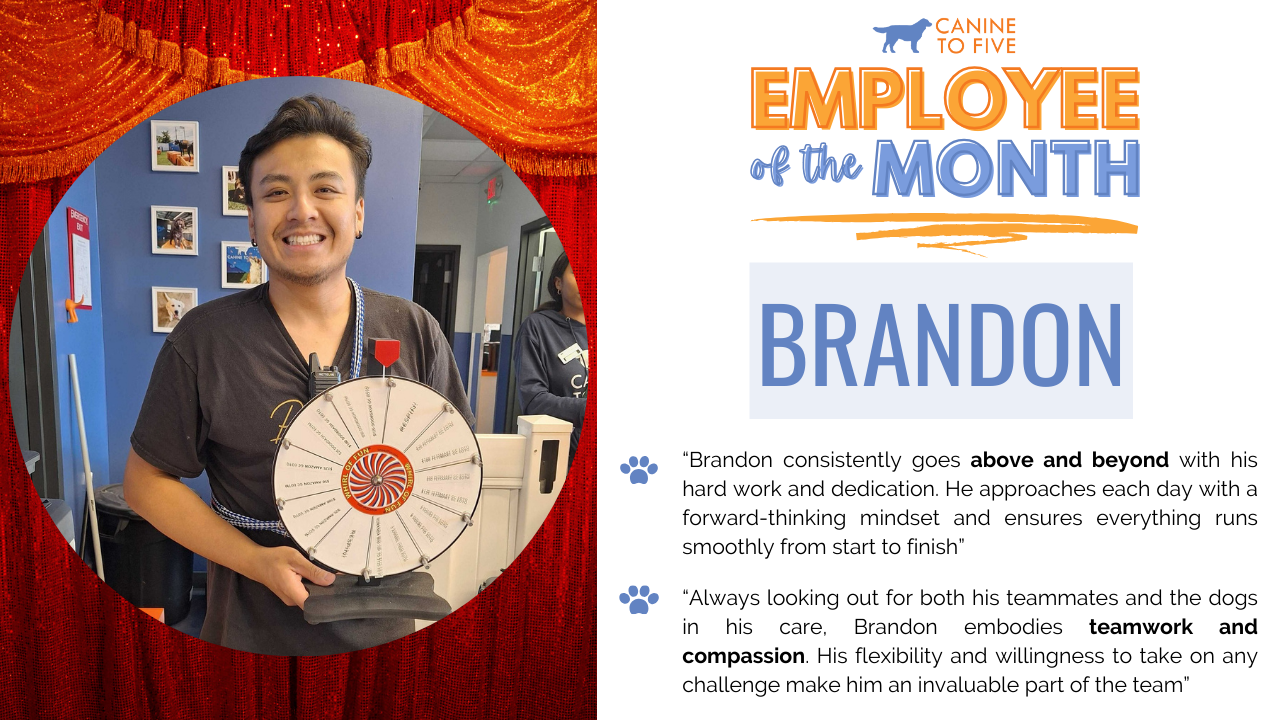 employee of the month feature for one of our staff members, Brandon