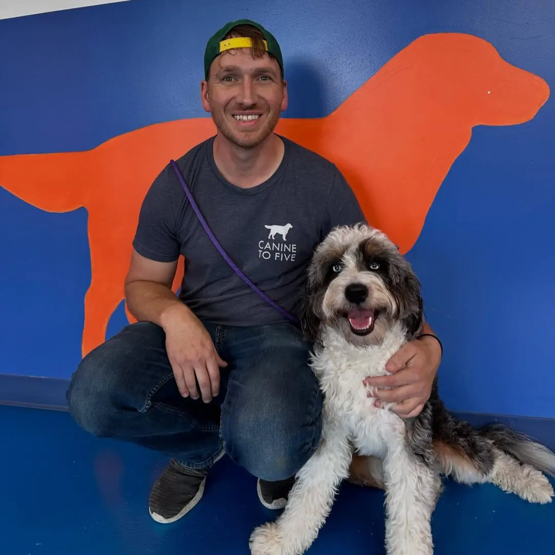 dog daycare detroit