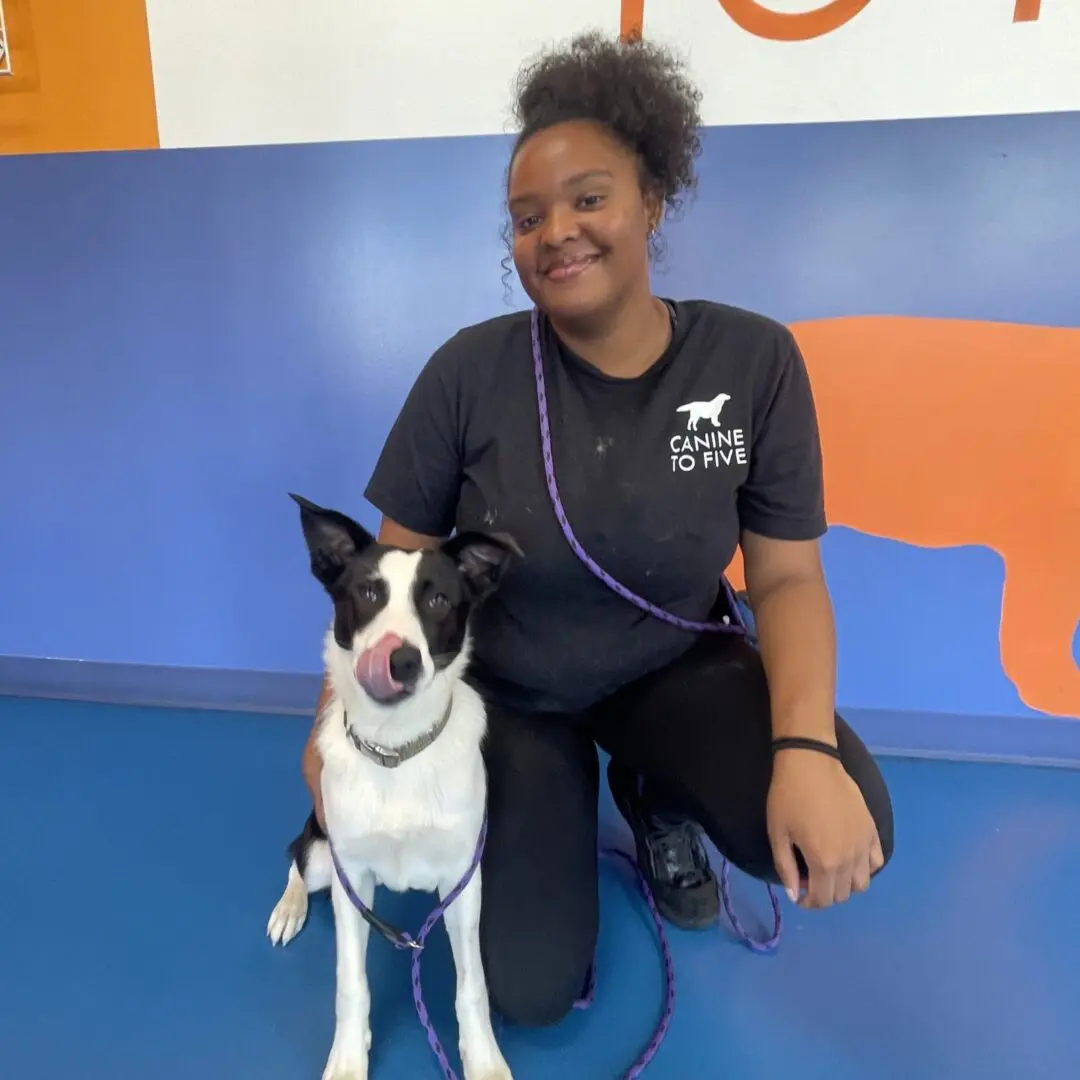 dog daycare detroit