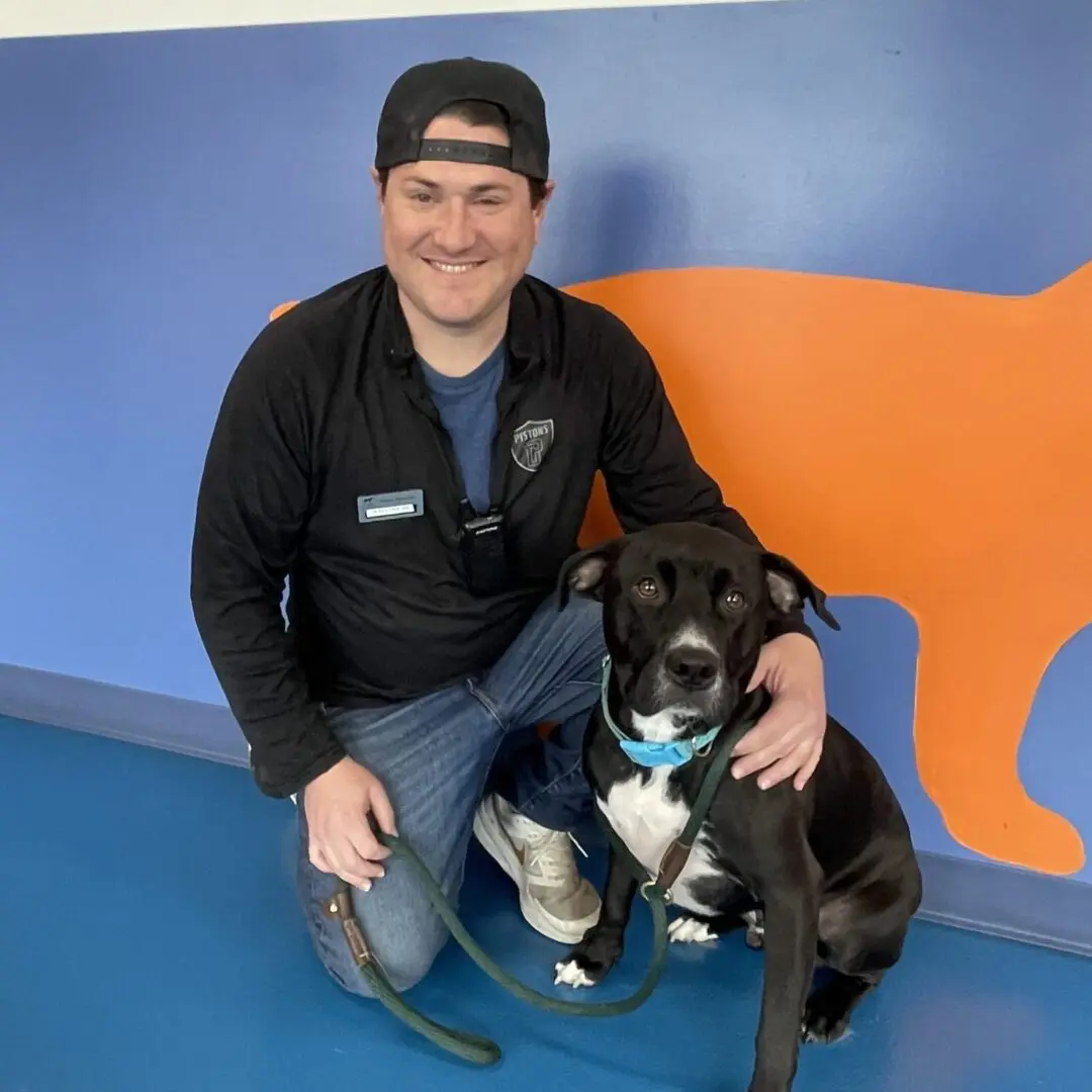 dog daycare detroit