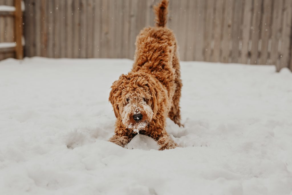 brooke-cagle-Tbf7H8d2YcU-unsplash brooke-cagle-Tbf7H8d2YcU-unsplash