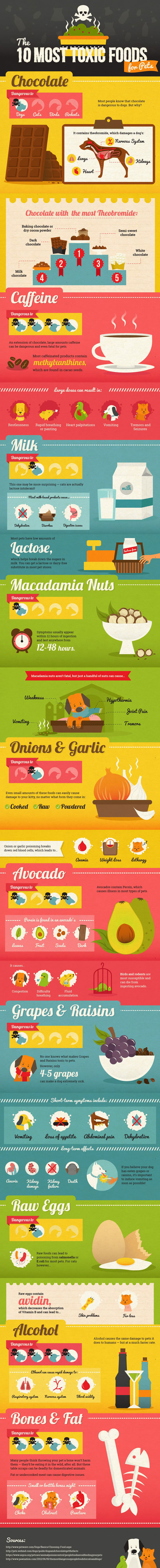 Toxic foods for pets