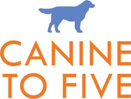 CaNine to Five- Saratoga