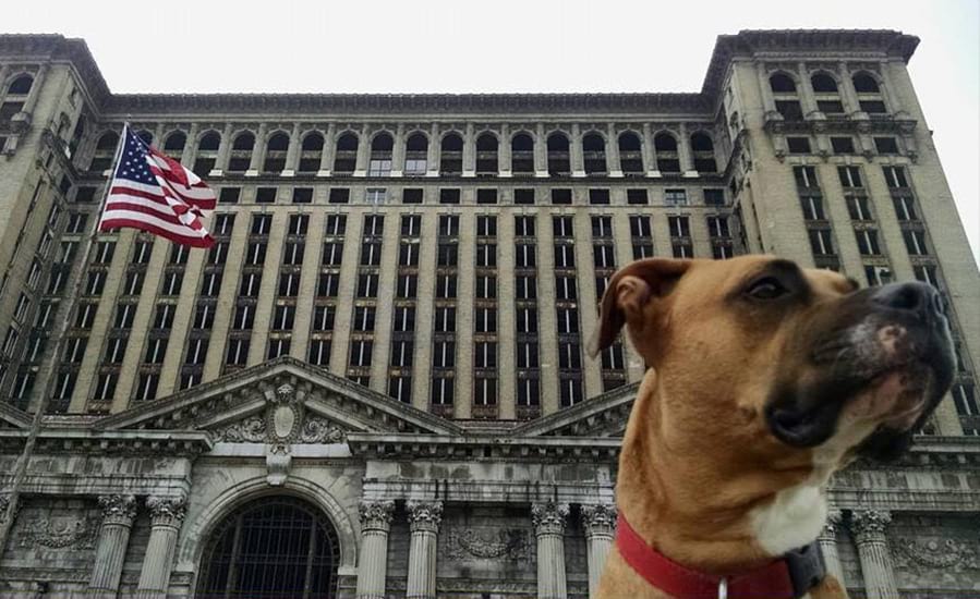 dog friendly detroit