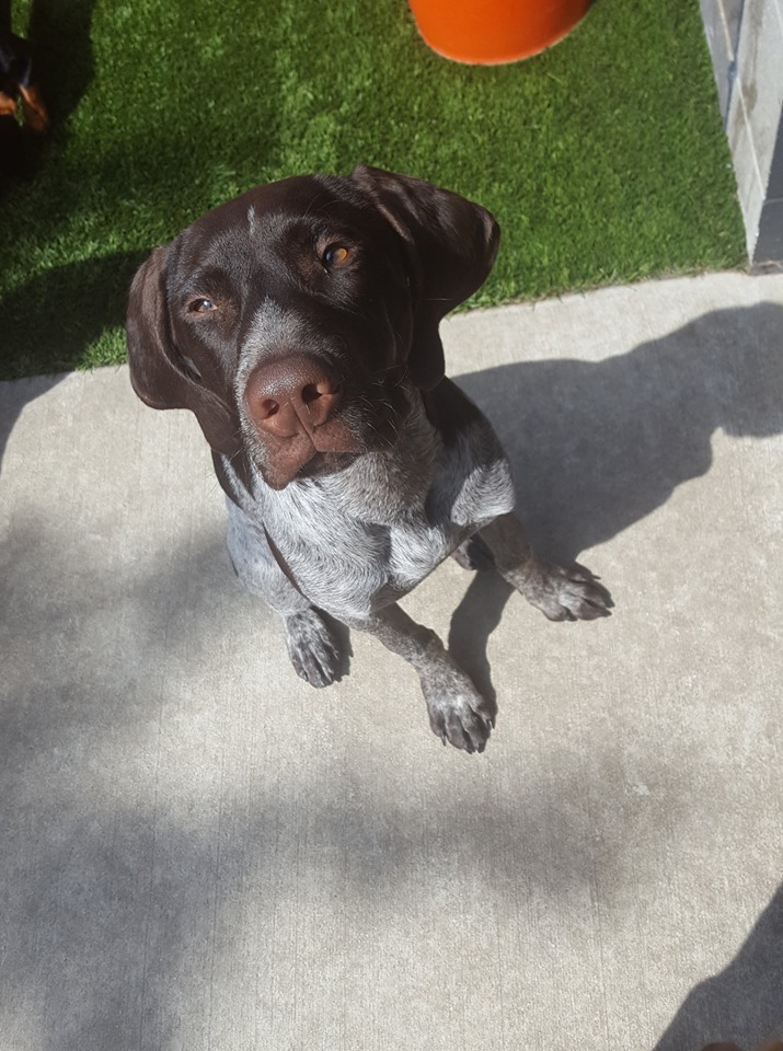 Diego Diego