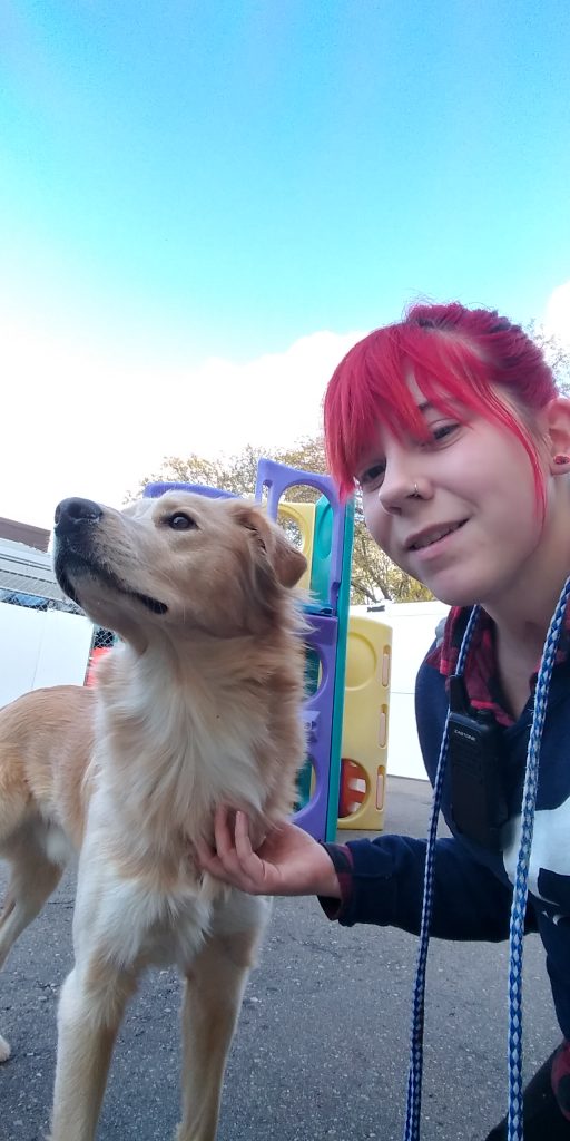 20191105_095526_HDR 20191105_095526_HDR
