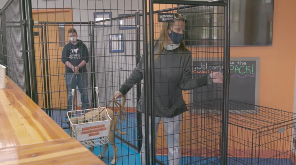 kennel