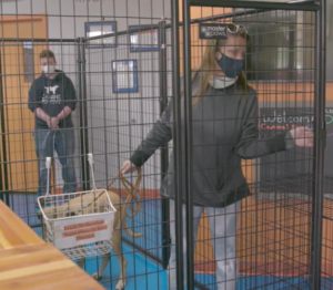 kennel 1024x572 1 e1609772091131