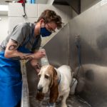 6413c476-69c6-4361-ba95-0693208d7d70-032321_canine_to_five_rg_02
