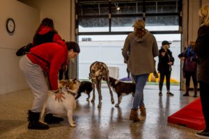 Commerce Township Canine to Five Open House 2021