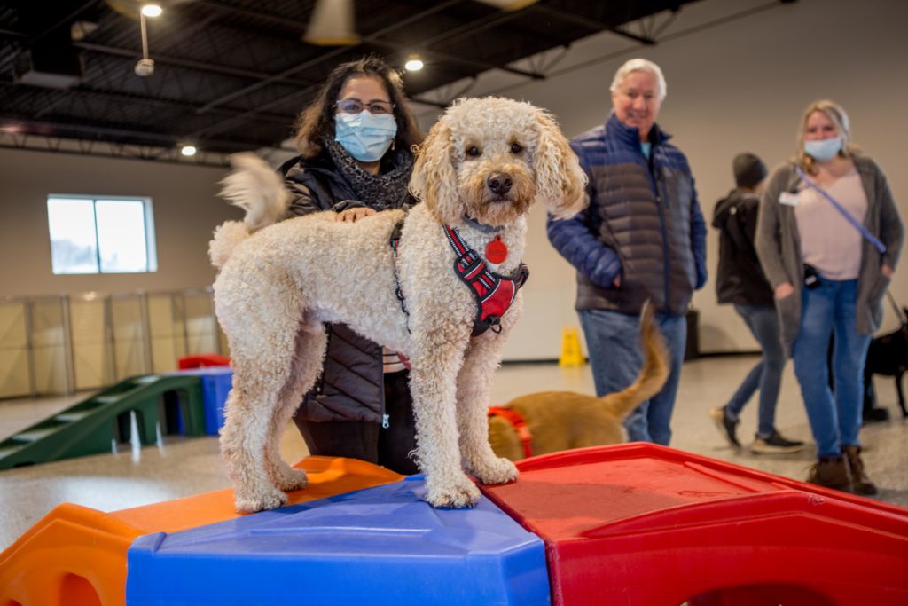 Indoor play