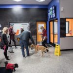 Commerce Township Canine to Five Open House 2021