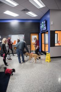 Commerce Township Canine to Five Open House 2021