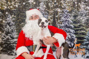 DetroitDay1 Santa 60 of 98