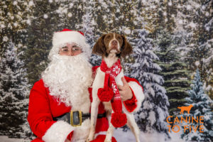 DetroitDay1 Santa 63 of 98