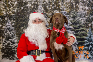 DetroitDay1 Santa 64 of 98