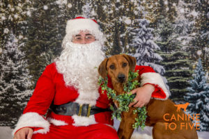 DetroitDay1 Santa 65 of 98