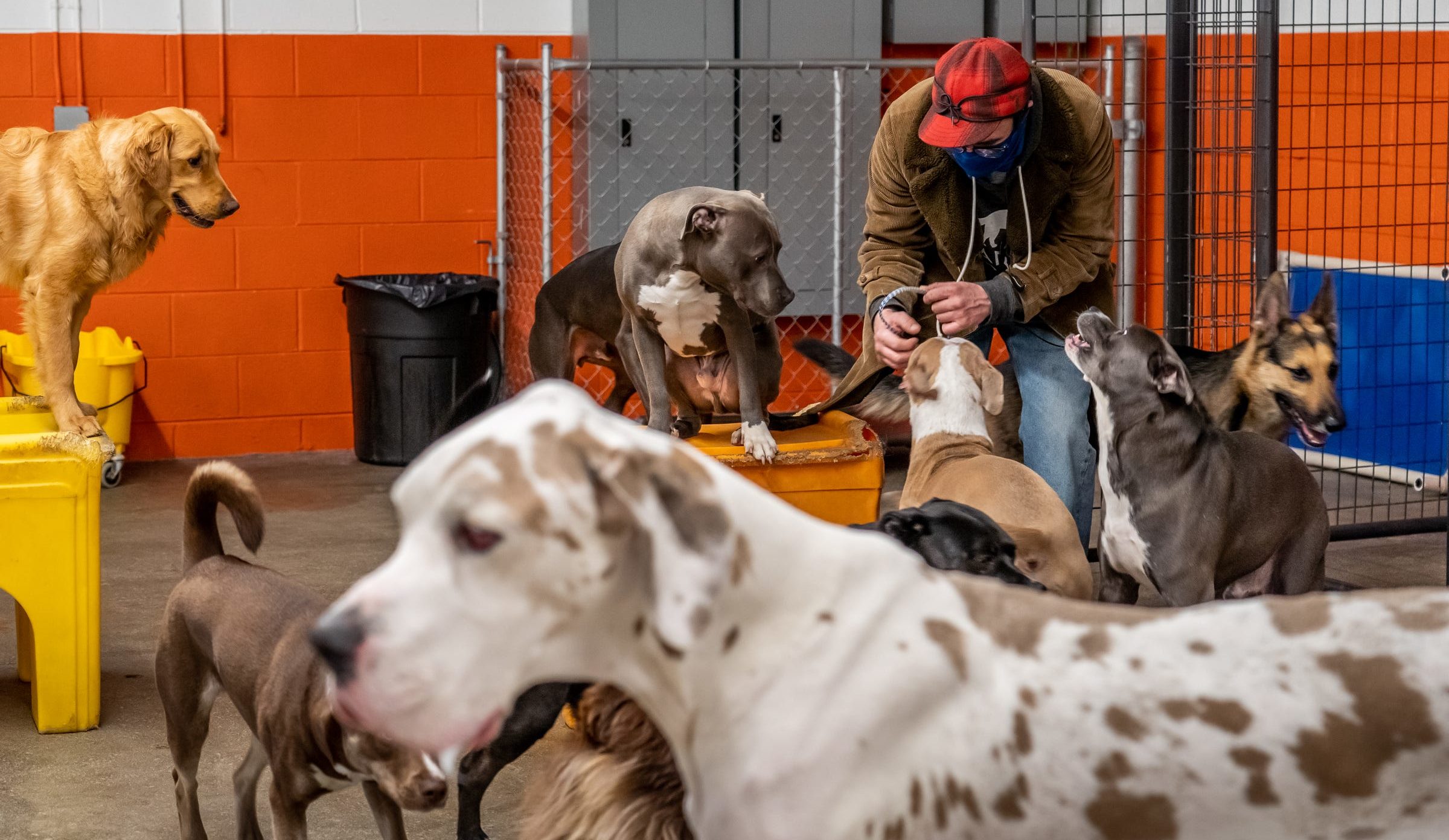 c0b3509b ca35 45e1 9a3a 74a20448d3ed 032321 canine to five rg 03 e1661364749878