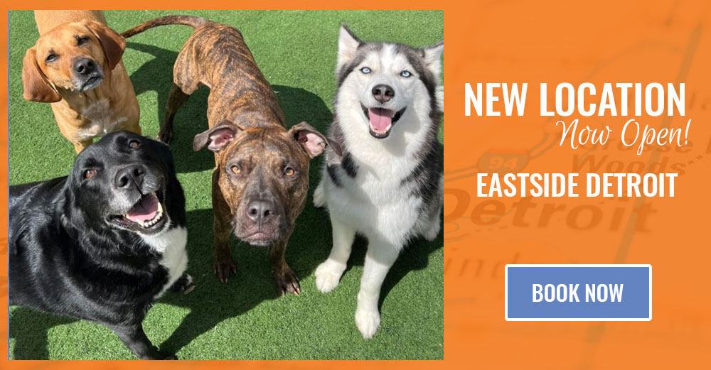 New Location - Now Open- Eastside Detroit - Book Now