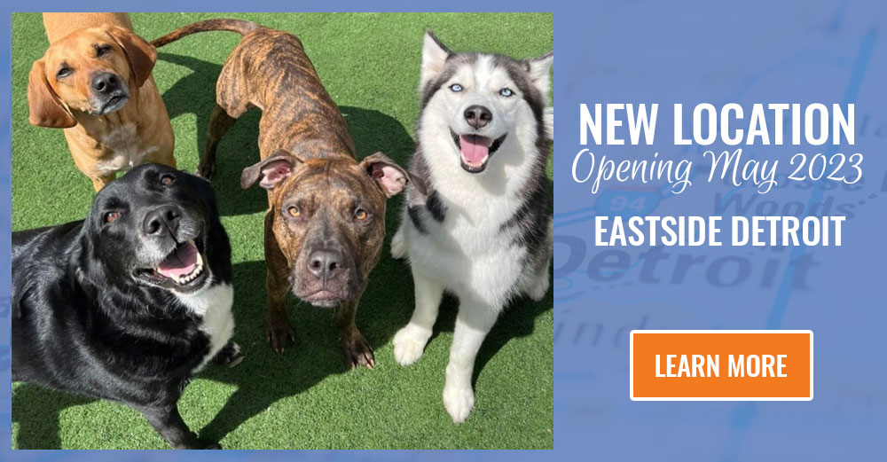 New Location - Opening May 2023 - Eastside Detroit - Learn More