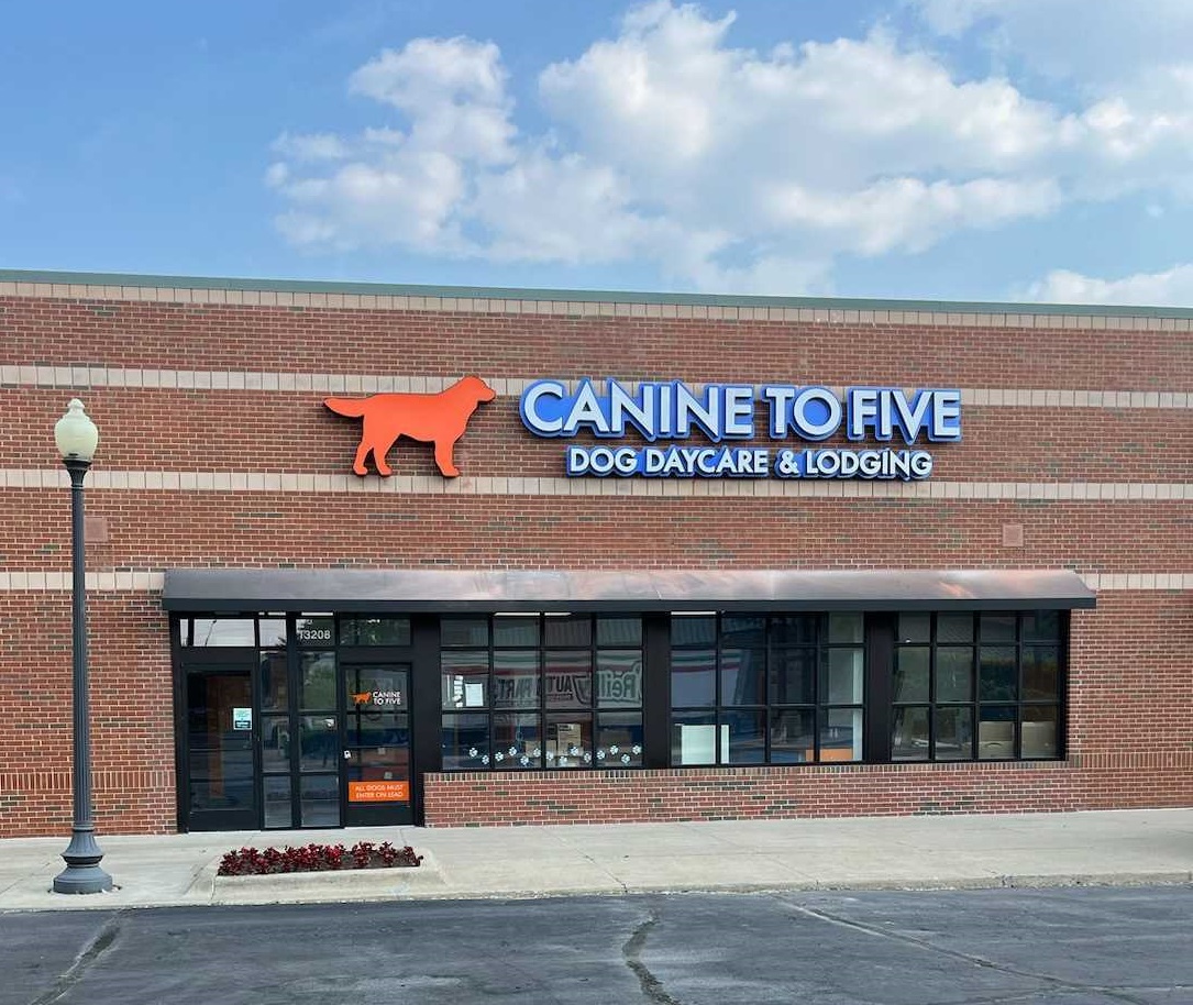 Dog Boarding and Daycare Eastside Detroit, MI Canine to Five