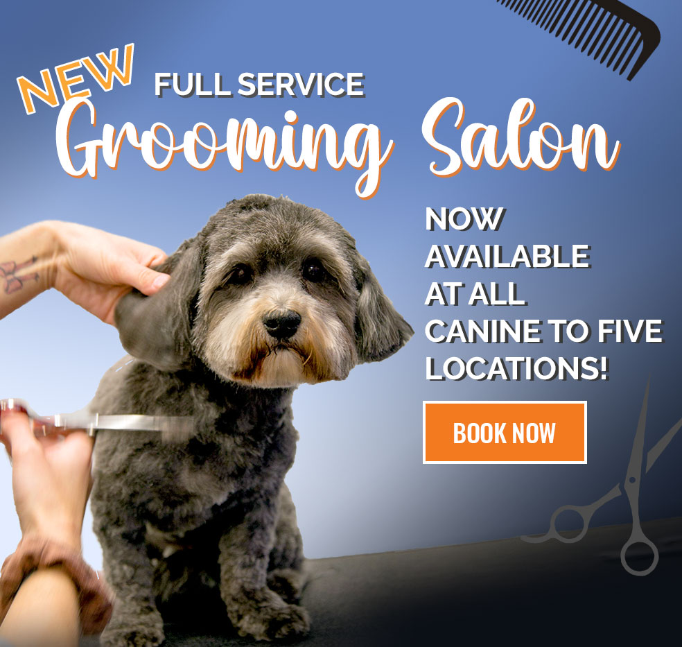 Full-service Grooming Salon Now Available at ALL Canine to Five locations! Book Now
