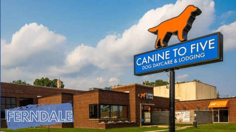 The front of our Canine to Five Ferndale building