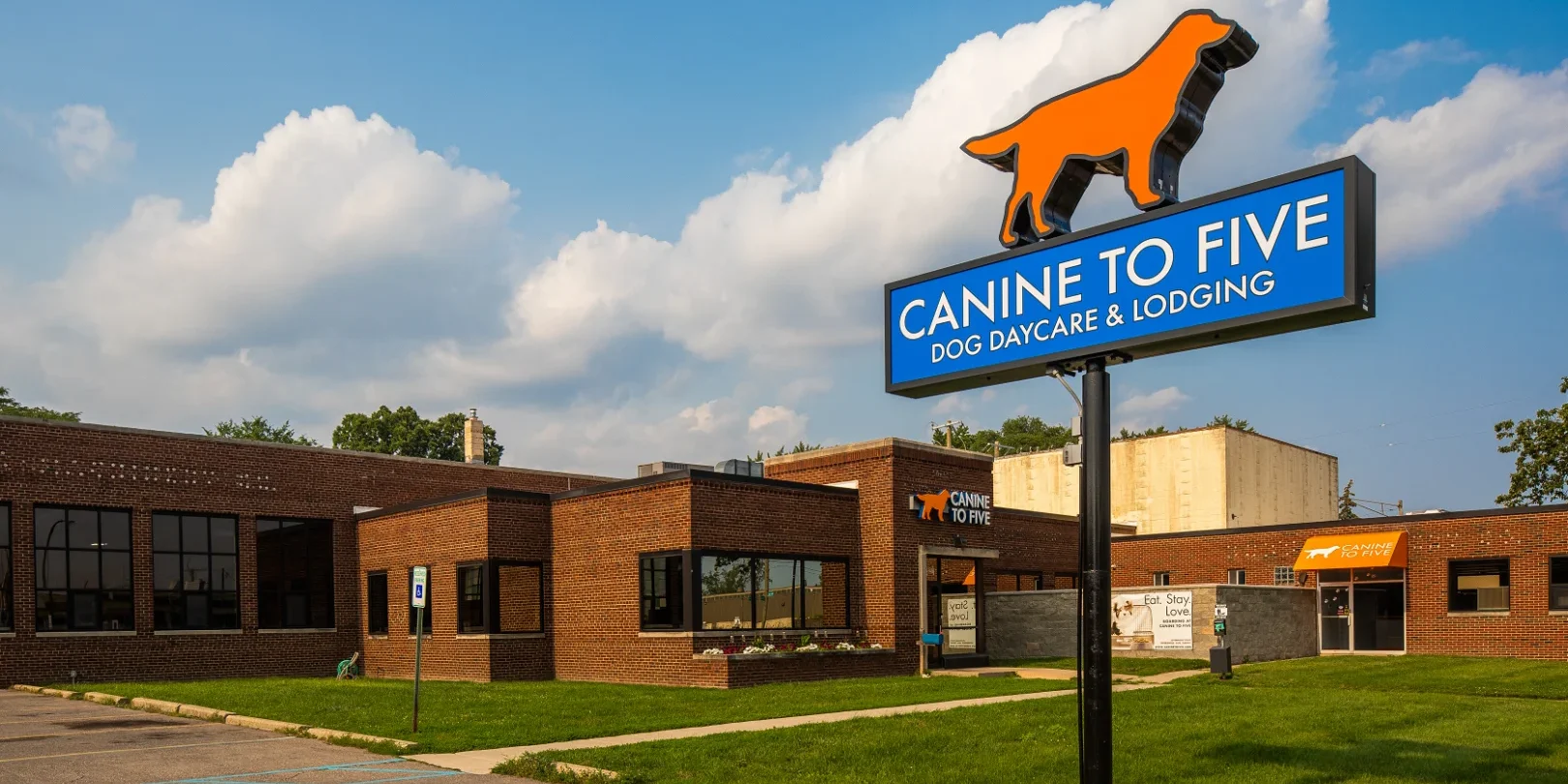 canine to five ferndale location